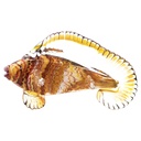 Skulptur Glas Fisch Murano-Stil