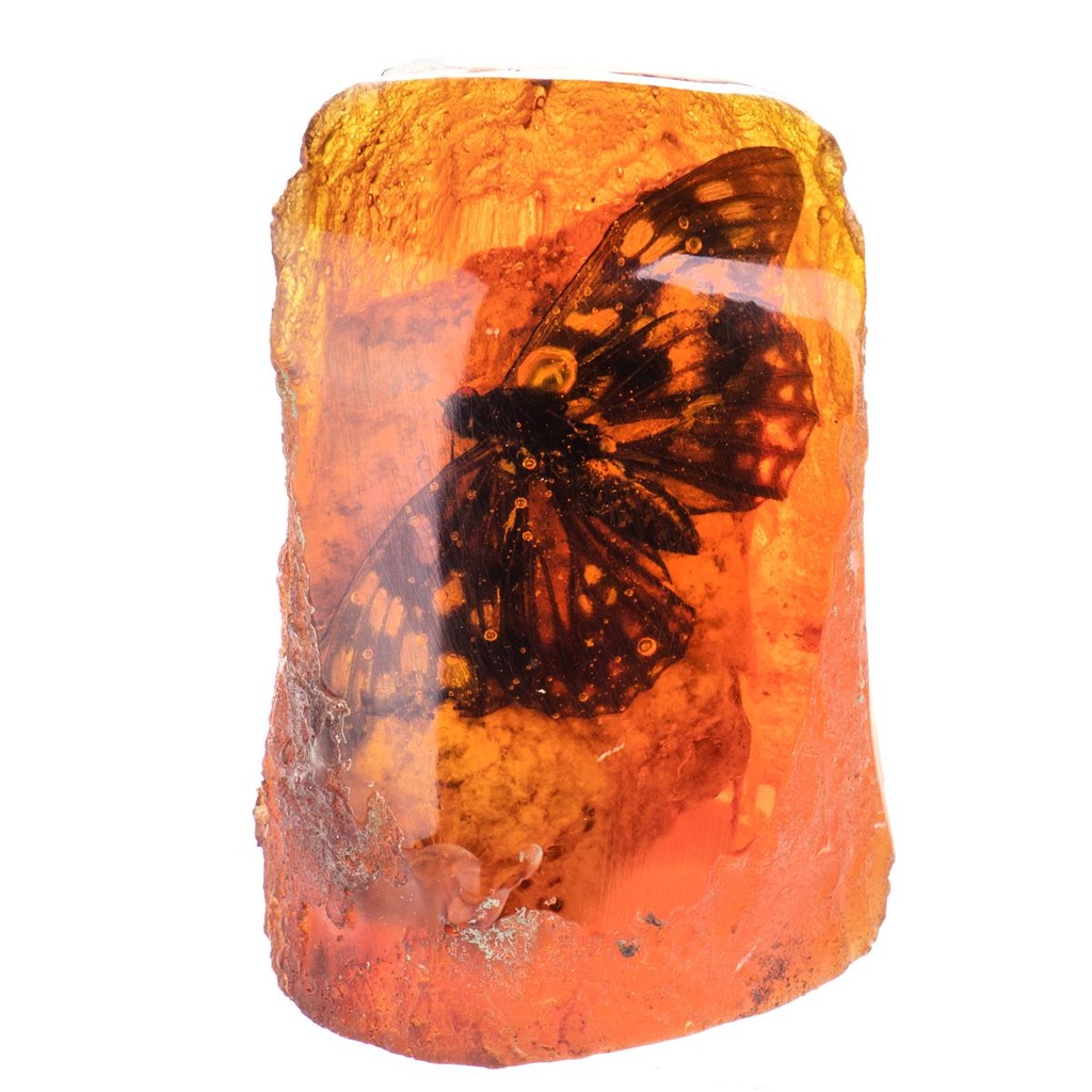 [LA-99169] Figur Skulptur Resin Bernsteinimitat mit echtem Schmetterling