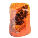 Figur Skulptur Resin Bernsteinimitat mit echtem Schmetterling