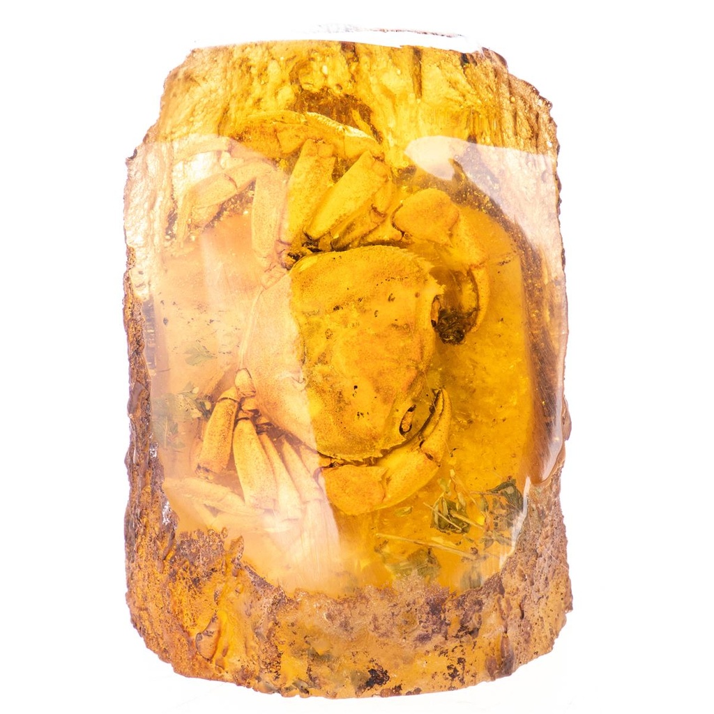 [LA-99172] Figur Skulptur Resin Bernsteinimitat mit echter Krabbe