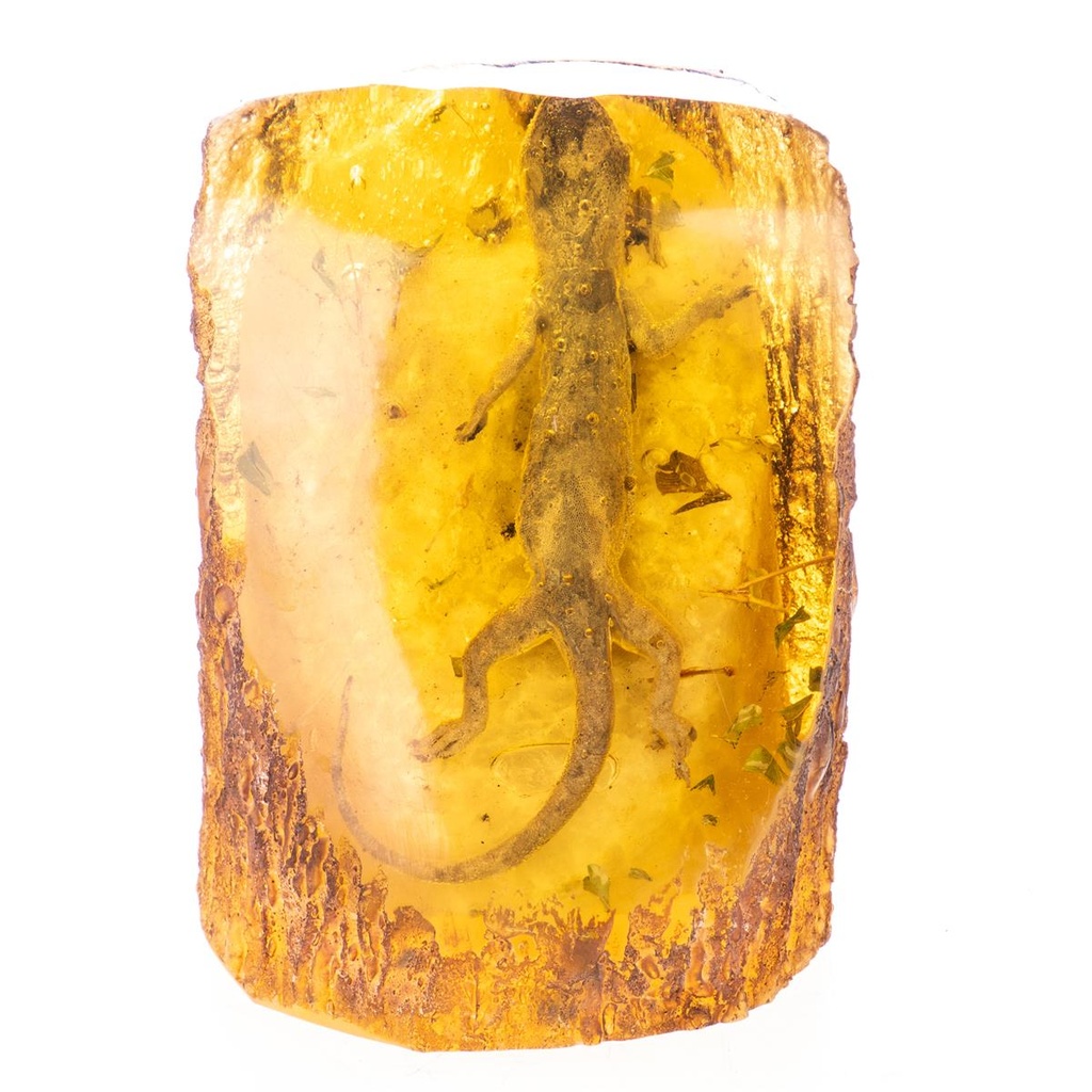 [LA-99173] Figur Skulptur Resin Bernsteinimitat mit echtem Gecko