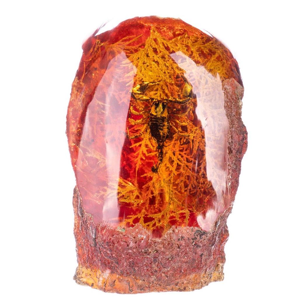 [LA-99174] Figur Skulptur Resin Bernsteinimitat mit echtem Skorpion