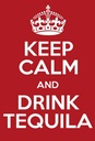 Holzschild 18x12 cm Alkohol Keep calm and Drink Tequila