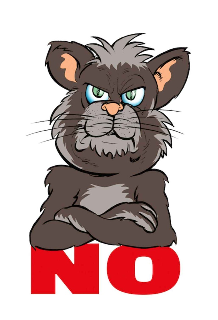 [LA-111929-1812-H] Holzschild 18x12 cm NO Katze Dekoration