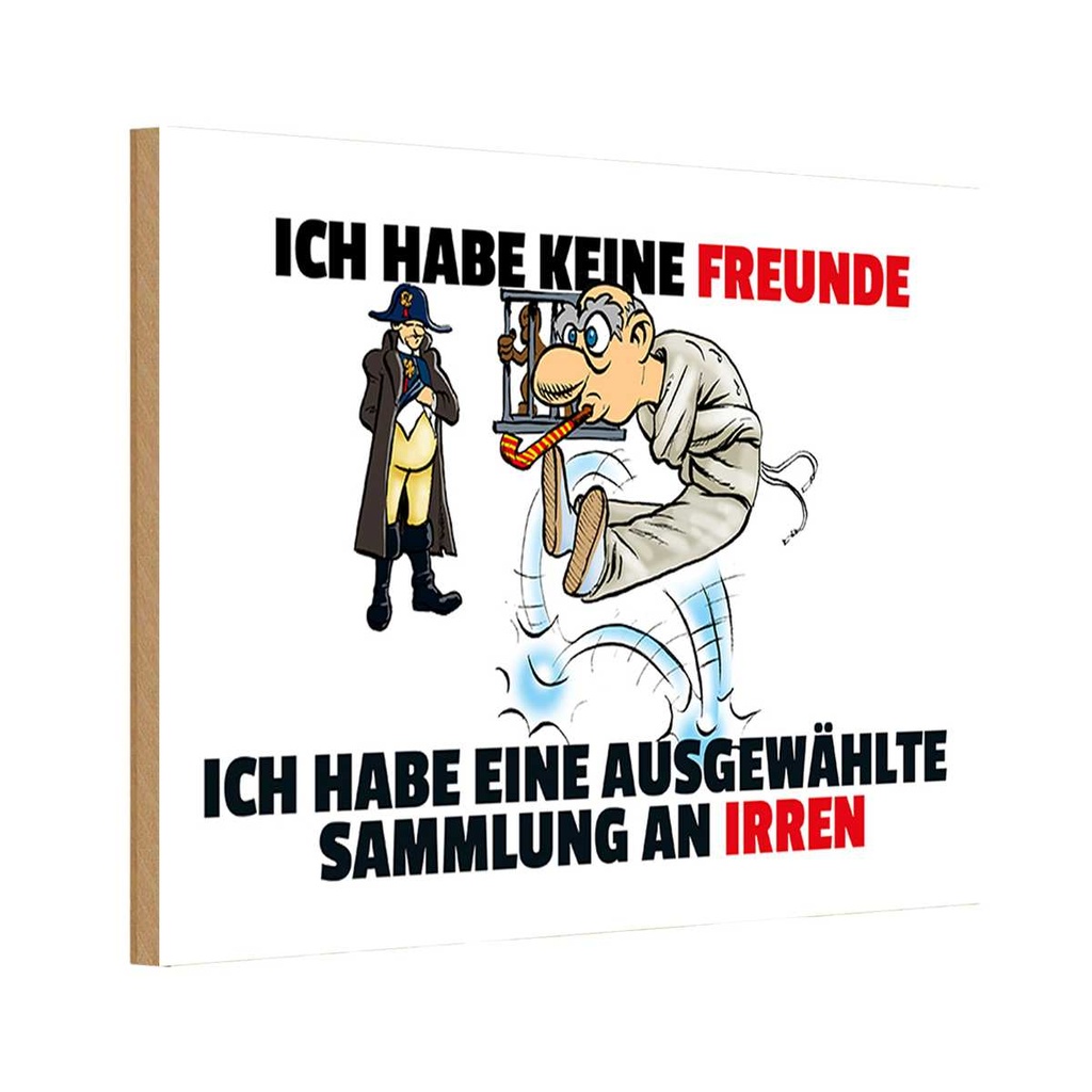 [LA-111951-1812-H] Holzschild 12x18 cm keine Freunde Sammlung an Irren Spruch Zitat