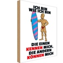 Holzschild 18x12 cm einen kennen mich anderen können Spruch Zitat
