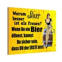 Holzschild 12x18 cm Pinup Warum Bier besser ist als Frauen Pin Up