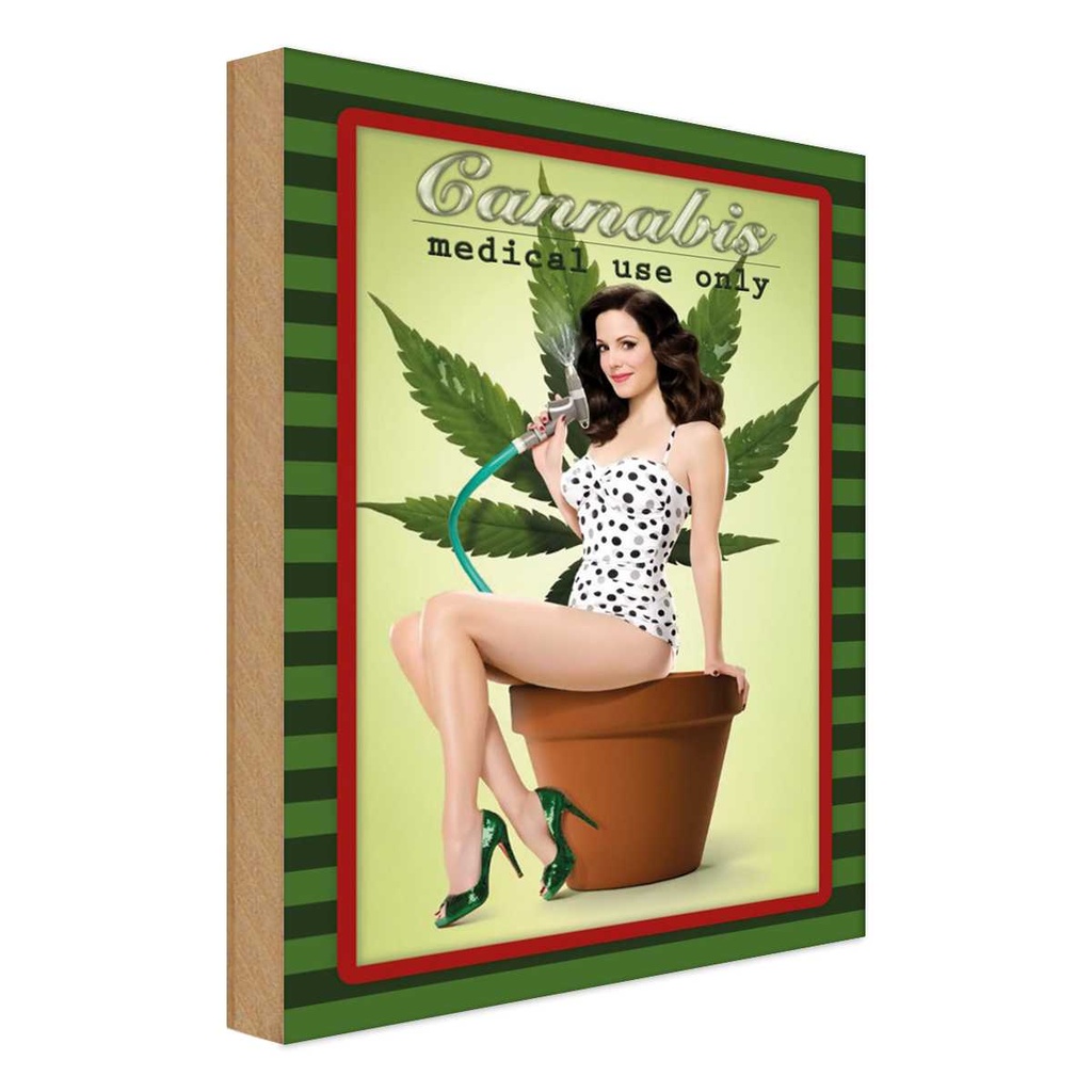 [LA-113715-1812-H] Holzschild 18x12 cm Pinup Cannabis medical use only Pin Up