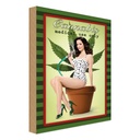 Holzschild 18x12 cm Pinup Cannabis medical use only Pin Up