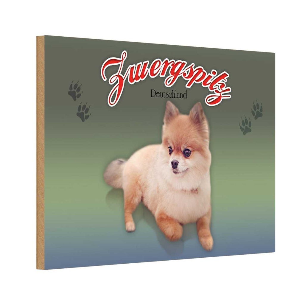 [LA-113774-1812-H] Holzschild 12x18 cm Hund Zwergspitz Deutschland Tier Haustier