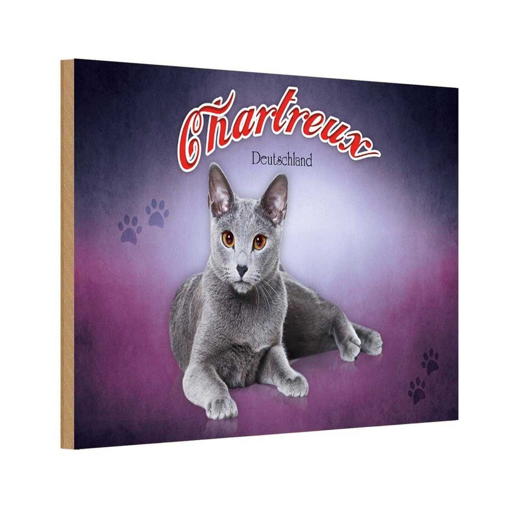 [LA-113784-1812-H] Holzschild 12x18 cm Katze Chartreux Deutschland Tier Haustier