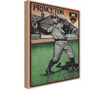 Holzschild 18x12 cm Princeton Baseball Sport Hobby