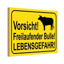 Holzschild 12x18 cm Vorsicht freilaufender Bulle Warnschild Hinweisschild