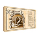 Holzschild 12x18 cm Hebamme Beruf Arbeit