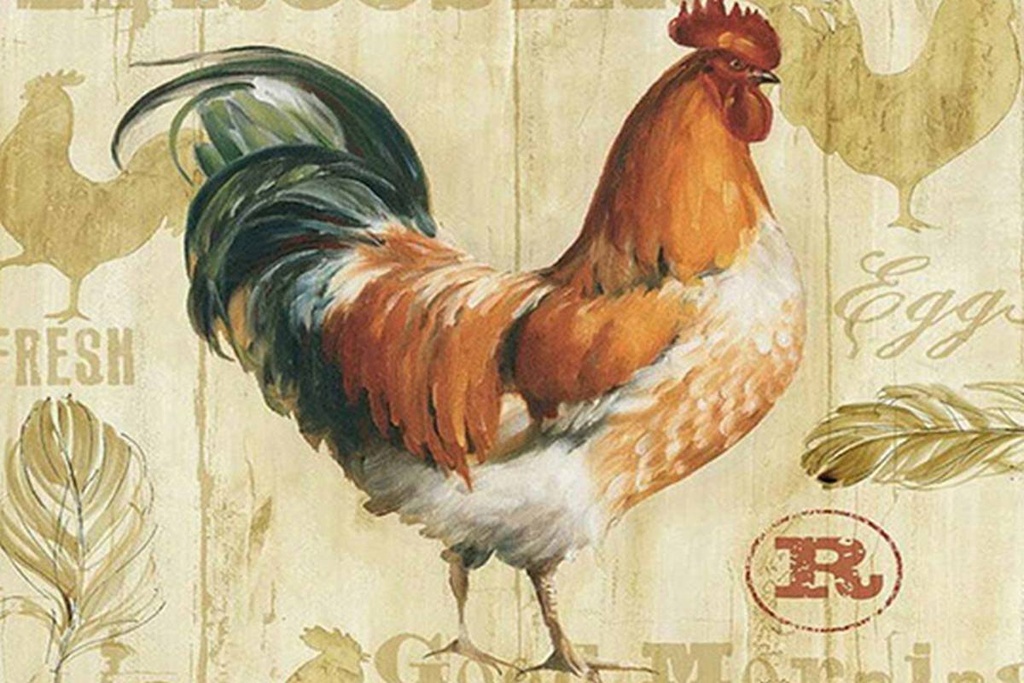 Holzschild 12x18 cm Huhn Hühner Eggs frische Eier
