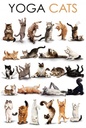 Holzschild 18x12 cm Tiere Yoga Cats Katzen