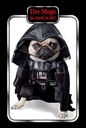 Holzschild 18x12 cm der Mops ist stark in dir Hund