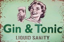 Holzschild 12x18 cm Alkohol Gin & Tonic liauid sanity