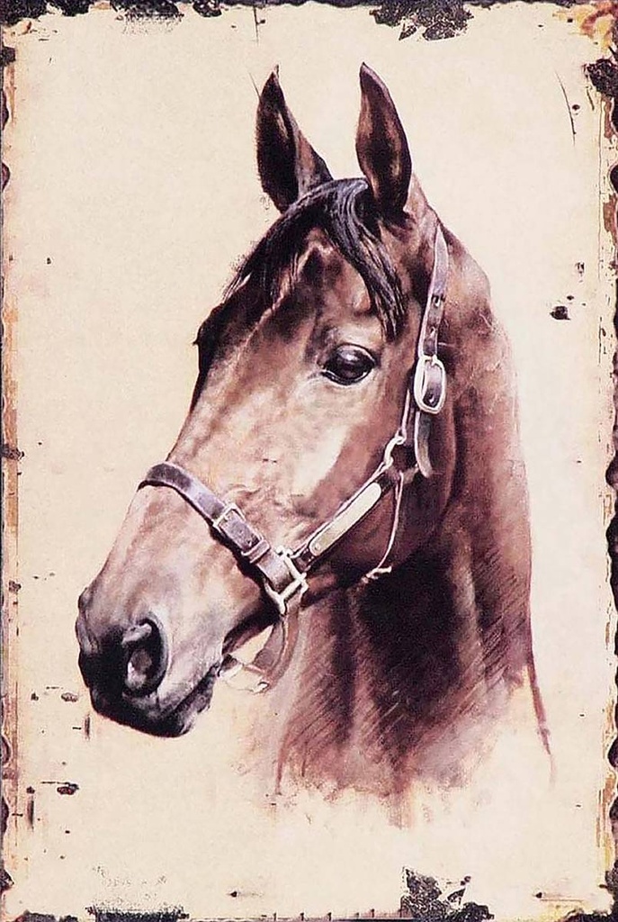 [LA-1781587-H] Holzschild 18x12 cm Retro Portrait Pferd Kopf Bildmotiv
