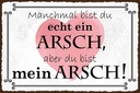 Holzschild 12x18 cm manchmal bist du ein ARSCH aber