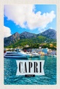 Holzschild 18x12 cm Capri Italy Insel Meer Bildmotiv Reisemotiv Abenteuer Reisen