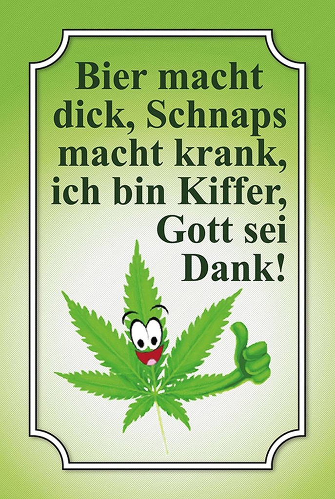Holzschild 18x12 cm Bier macht dick Schnaps krank