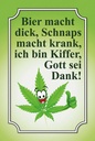 Holzschild 18x12 cm Bier macht dick Schnaps krank