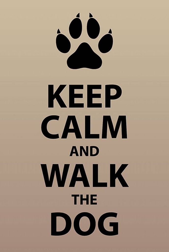Holzschild 18x12 cm Keep calm and walk the dogSchild