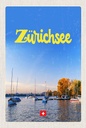 Holzschild 18x12 cm Zürich SeeBoote Bootstrip