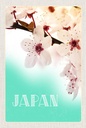 Holzschild 18x12 cm Japan Asien Blume weiß rosa Bildmotiv Reisemotiv Abenteuer Reisen