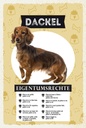 Holzschild 18x12 cm Dackel Eigentumsrechte