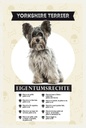 Holzschild 18x12 cm Yorkshire Terrier Eigentumsrechte