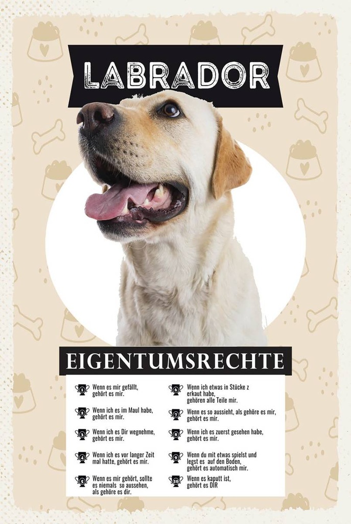 Holzschild 18x12 cm Labrador Eigentumsrechte
