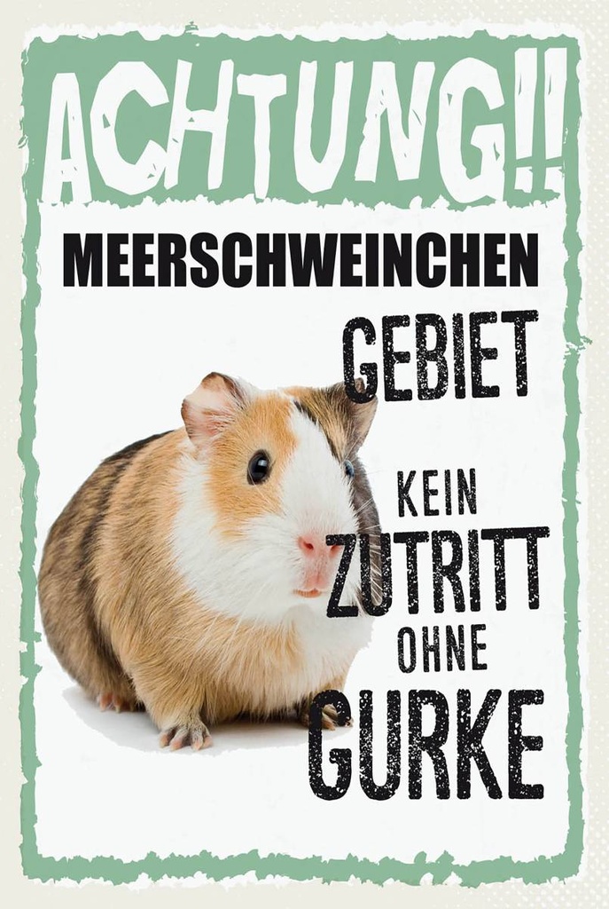 Holzschild 18x12 cm Tiere Achtung Meerschweinchen