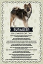 Holzschild 18x12 cm Tiere Eurasier Hausordnung Hunde