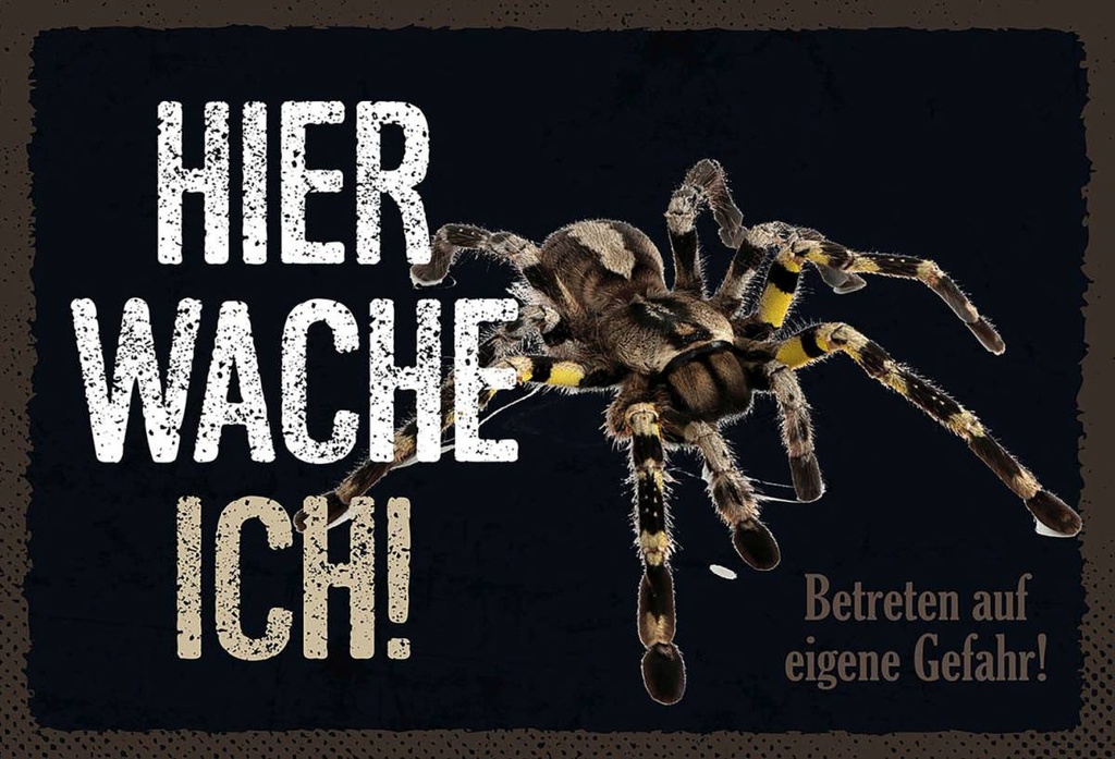 Holzschild 12x18 cm Spinne hier wache ich eigene Gefahr