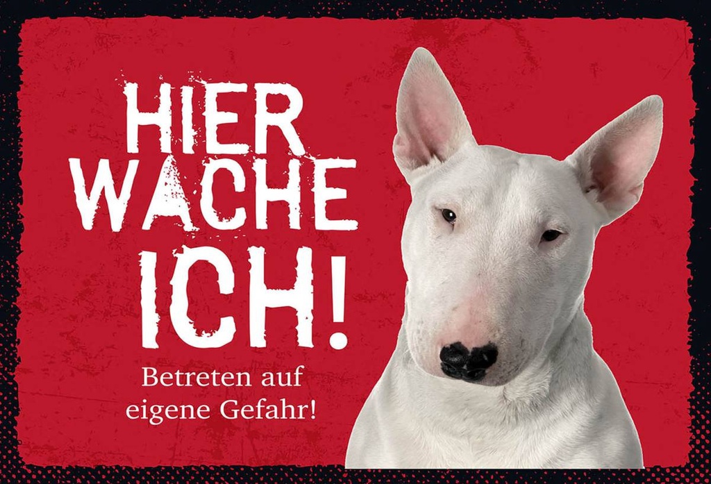 Holzschild 12x18 cm Bullterrier hier wache eigene Gefahr