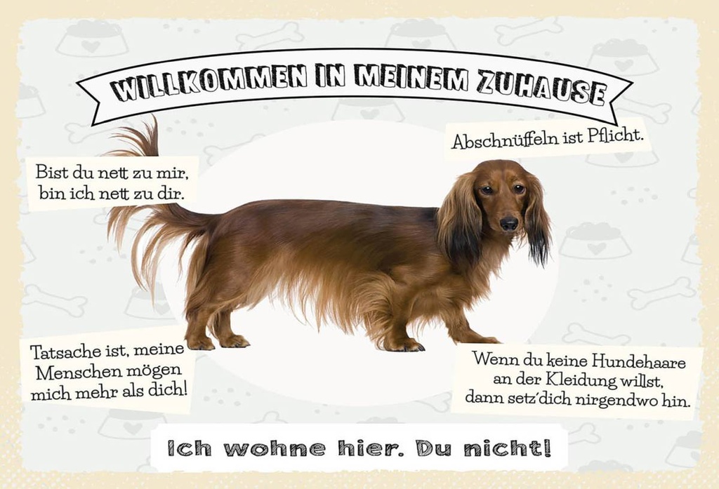 Holzschild 12x18 cm Tiere Hund ich wohne hier du nicht