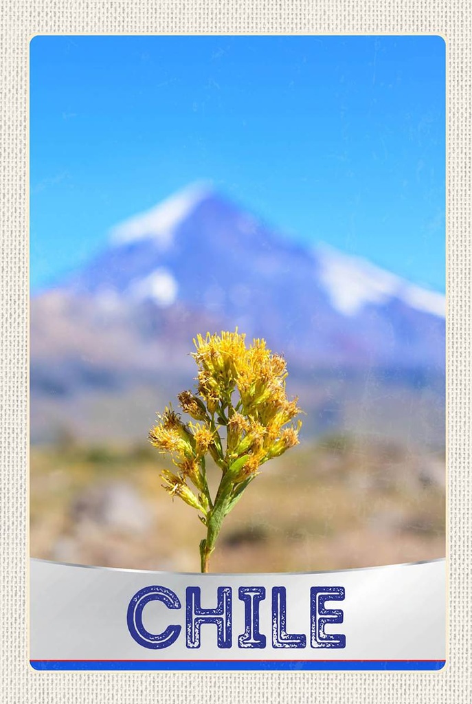 [LA-1783553-H] Holzschild 18x12 cm Chile Blume Gebirge Bildmotiv Reisemotiv Abenteuer Reisen