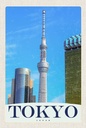Holzschild 18x12 cm Tokio Stadt Hochhaus Asien Bildmotiv Reisemotiv Abenteuer Reisen