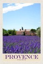 Holzschild 18x12 cm Provence Frankreich Natur Haus lila