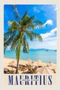 Holzschild 18x12 cm Mauritius Indischer Ozean Insel Bildmotiv Reisemotiv Abenteuer Reisen