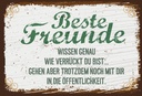 Holzschild 12x18 cm Beste Freunde verrückt wissen genau