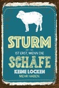 Holzschild 18x12 cm Sturm wenn Schafe keine Locken