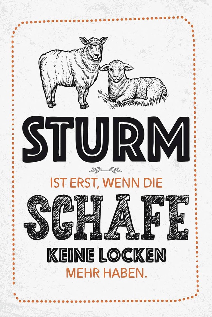 Holzschild 18x12 cm lustig Sturm wenn Schafe Locken