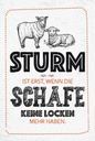 Holzschild 18x12 cm lustig Sturm wenn Schafe Locken