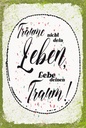 Holzschild 18x12 cm träume nicht dein Leben lebe Traum