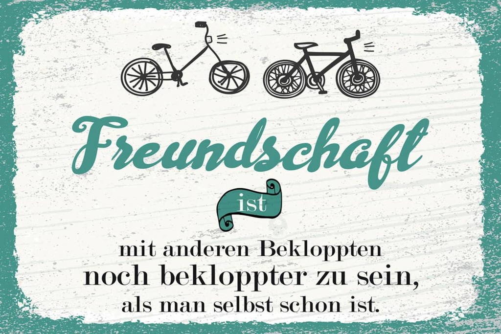 Holzschild 12x18 cm Freundschaft noch bekloppter sein