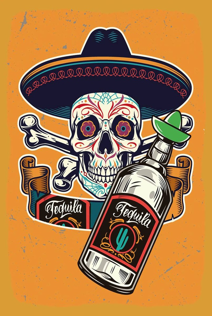 Holzschild 18x12 cm Totenkopf Tequila Alkohol