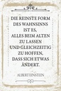 Holzschild 18x12 cm Einstein reinste Form Wahnsinns